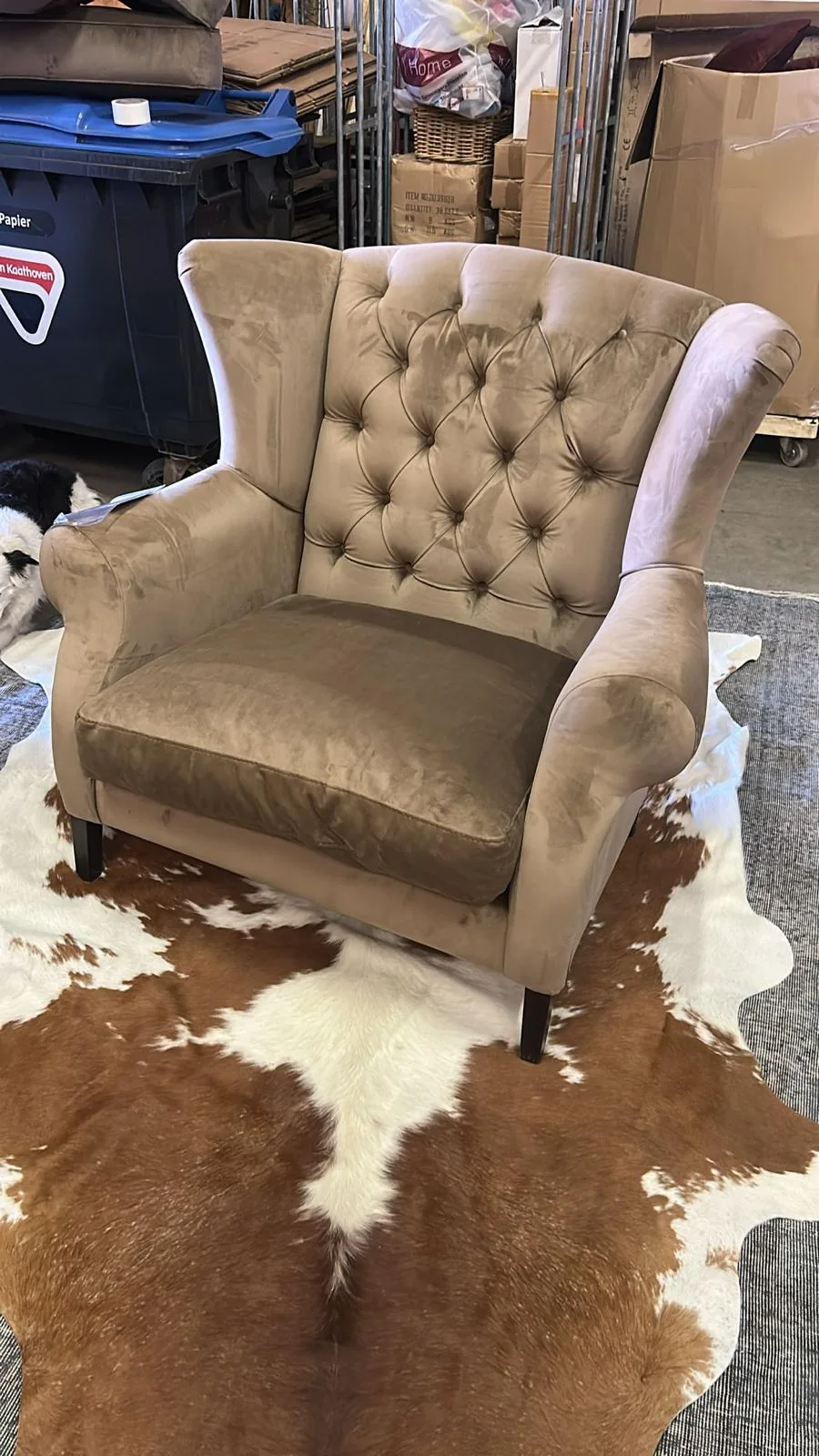 Klassieke beige oorfauteuil